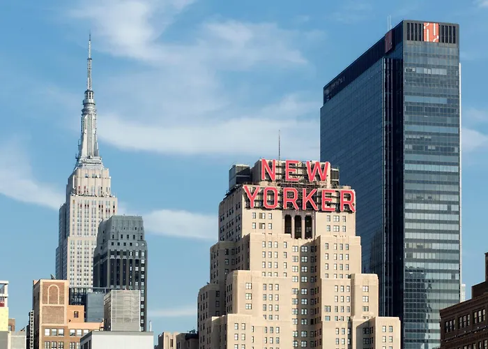 New Yorker By Lotte s